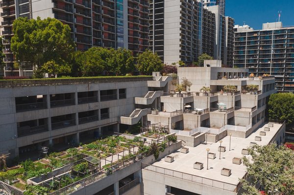 Potager en ville : comment optimiser votre espace